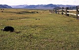 valley night 1 in mongolia